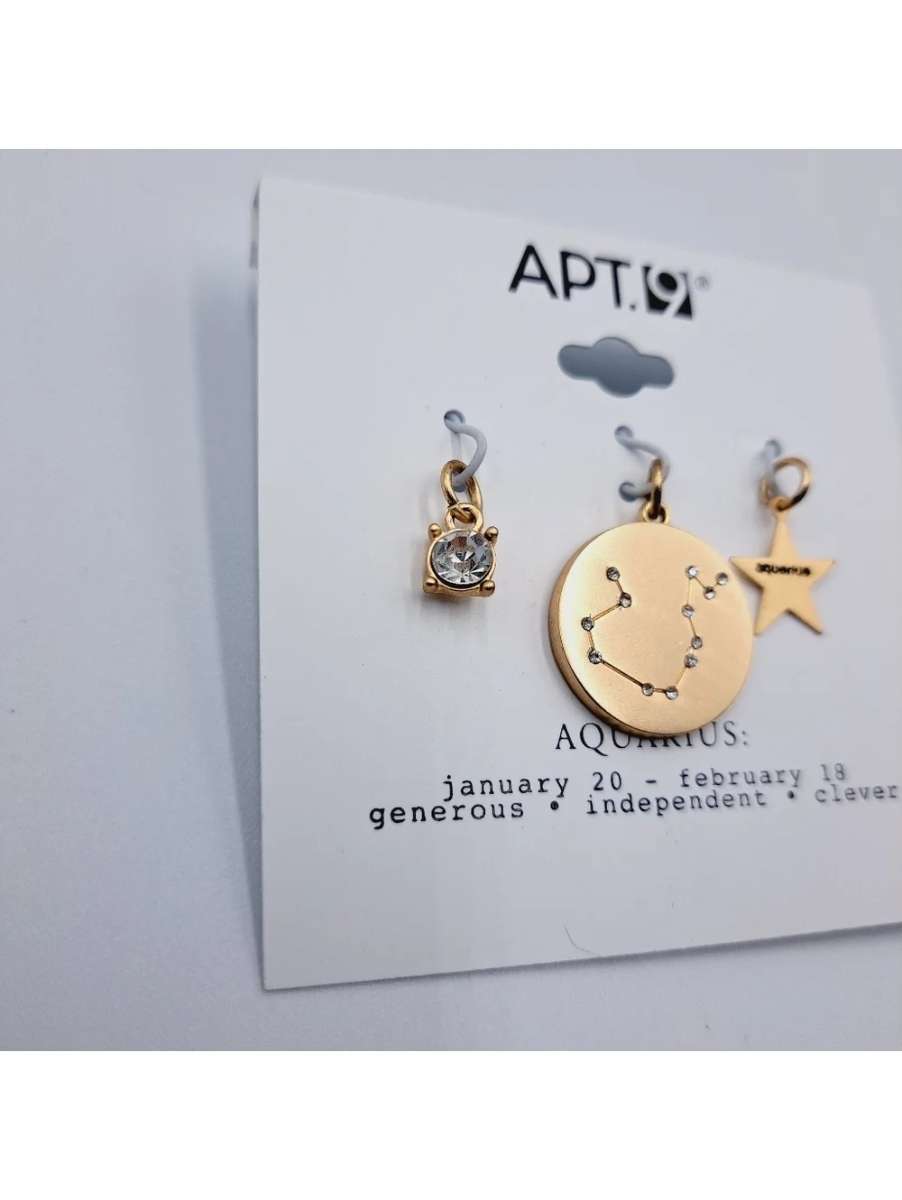 Aquarius Zodiac Pendant Charm Set